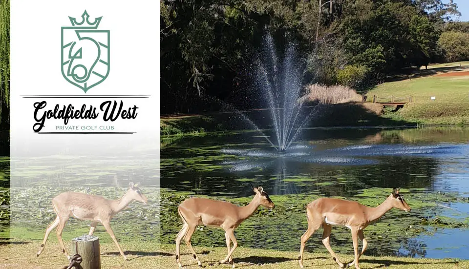 Goldfields West: Top 100 SA private golf club in Carletonville